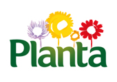 Planta