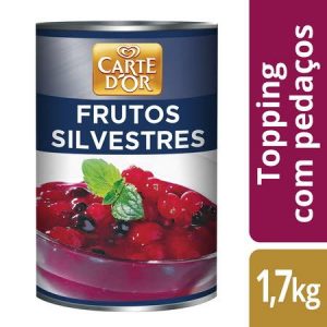 Carte D’Or Topping com pedaços enlatados Frutos Silvestres 1,7Kg