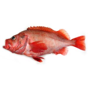 Peixe Vermelho M Inteiro Higienizado