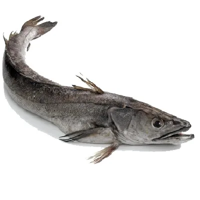 Hake 2 Fry Packed