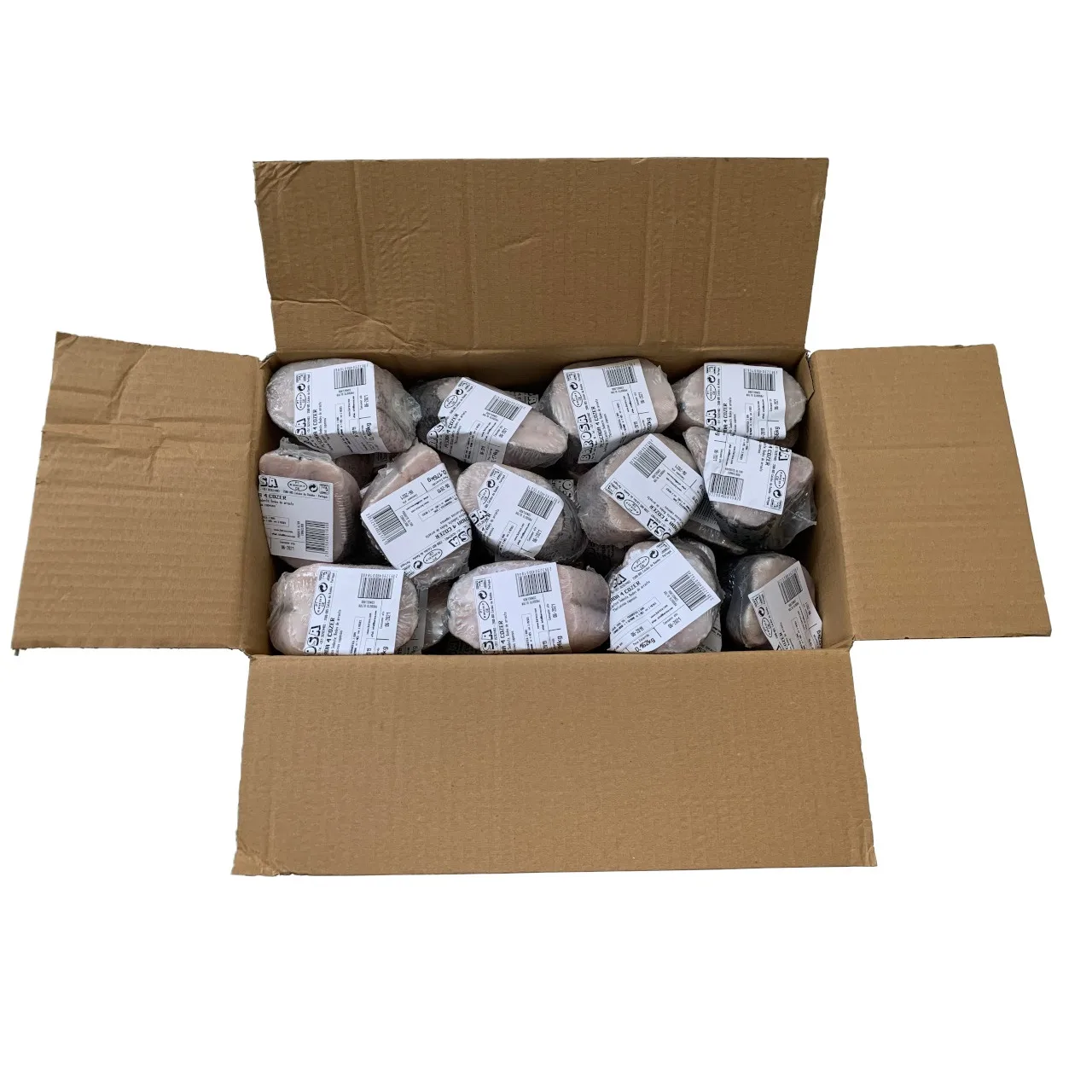 Pescada 4 Higienizado