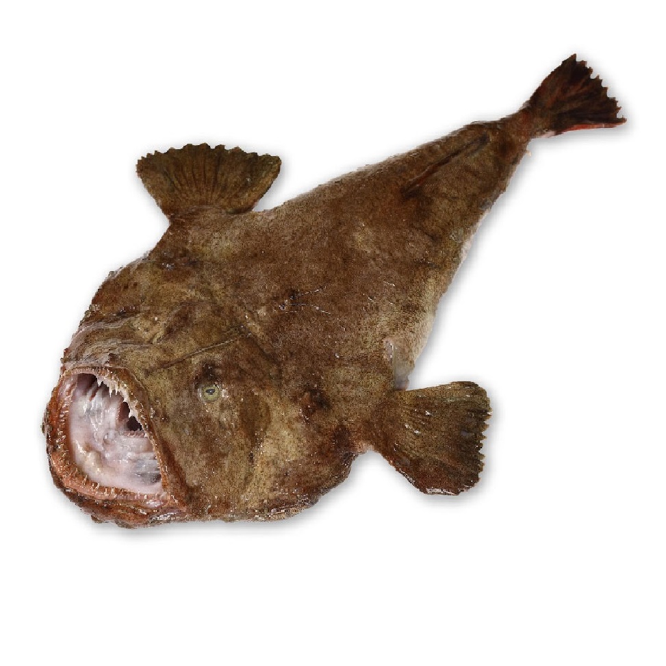 Lombos de Tamboril 1000/2000