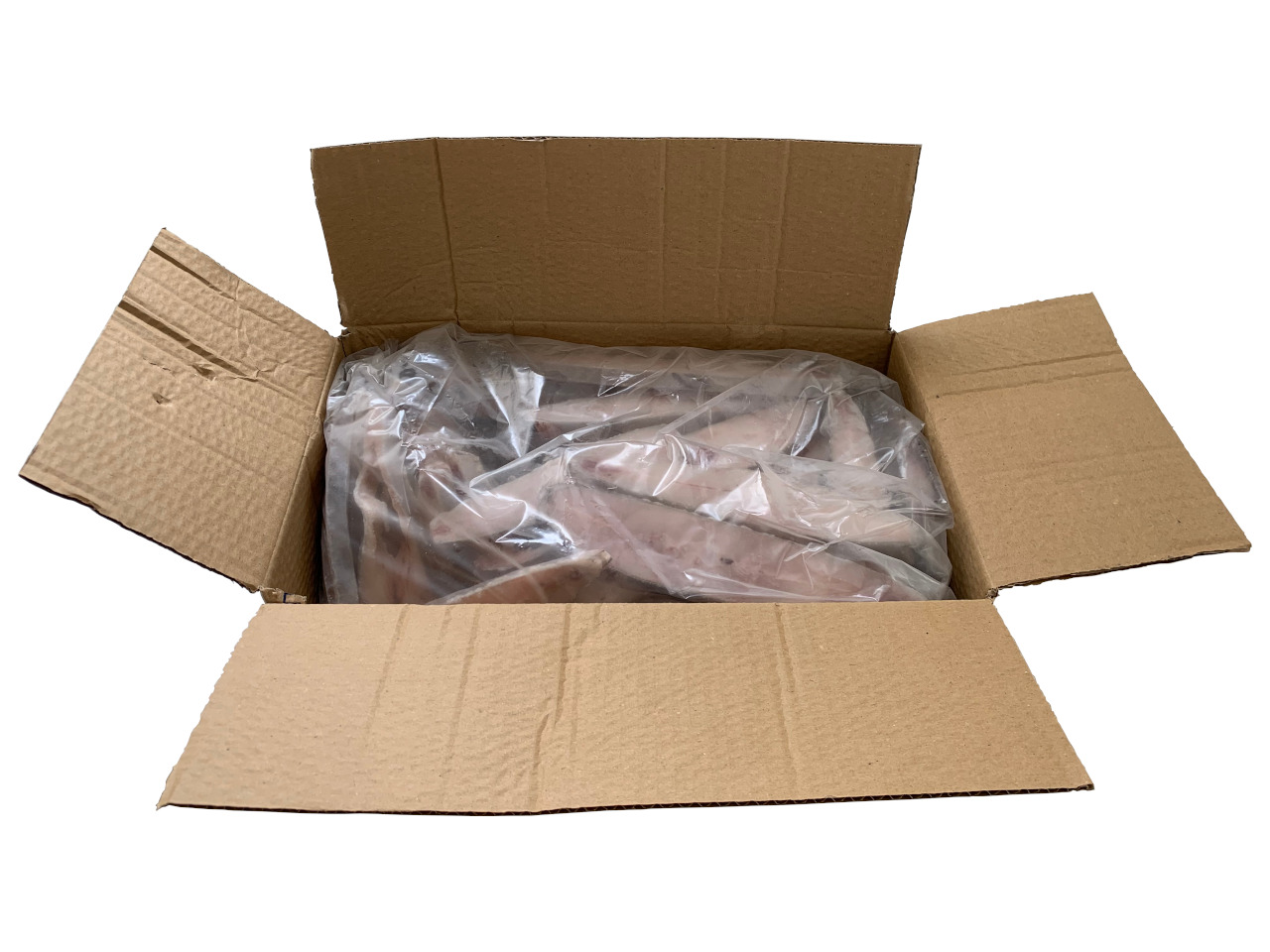 Peixe Galo Posta Fina