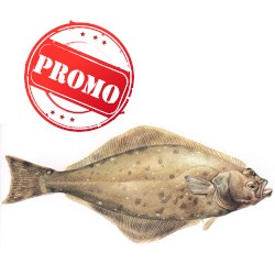 Alabote Promo