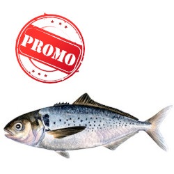 Cardinal Promo