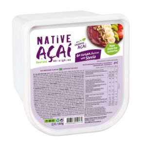 SORBET NATIVE AÇAÍ ZERO 2 X 2,3L