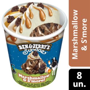 Ben & Jerry's Marshmallow & S'more 465ml