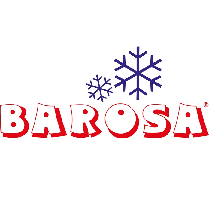 BAROSA Congelados | Manuel de Sousa Barosa, Lda. logo