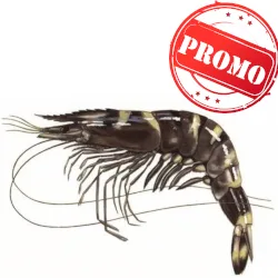 Camarão Tigre Promoção