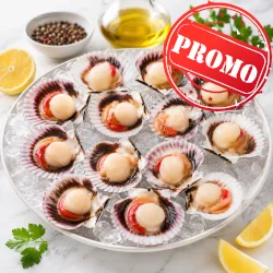 Vieira Promo